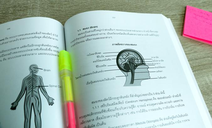 ติวเข้มชีววิทยา พิชิตข้อสอบวิชาสามัญเต็ม 100% ภายใน 5 วัน ชีววิทยา (Biology) ซึ่งอยู่ในส่วนของ 9 วิชาสามัญ ถือเป็นวิชาที่มี...