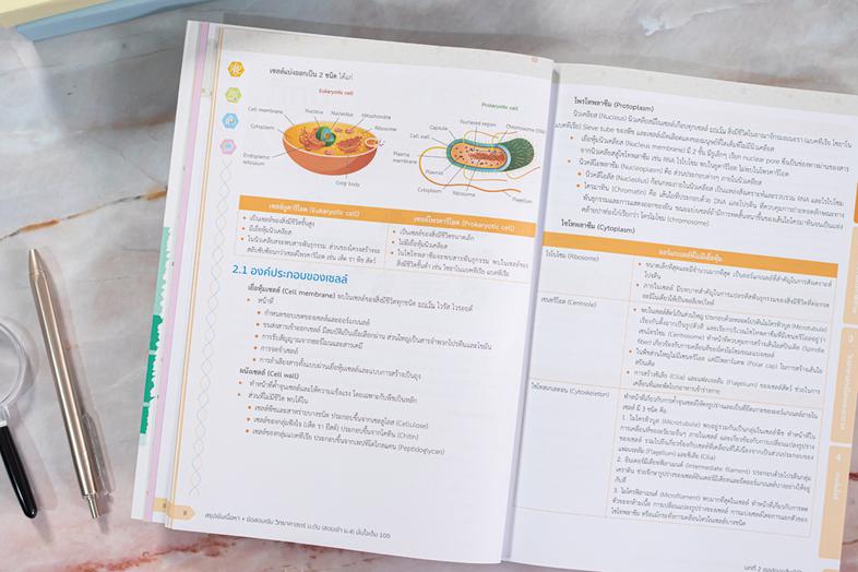 สรุปเข้มเนื้อหา+ข้อสอบเข้ม วิทยาศาสตร์ ม.ต้น (สอบเข้า ม.4) มั่นใจเต็ม 100 สรุปเนื้อหาวิทยาศาสตร์ตรงตามหลักสูตรปัจจุบัน โดยแ...