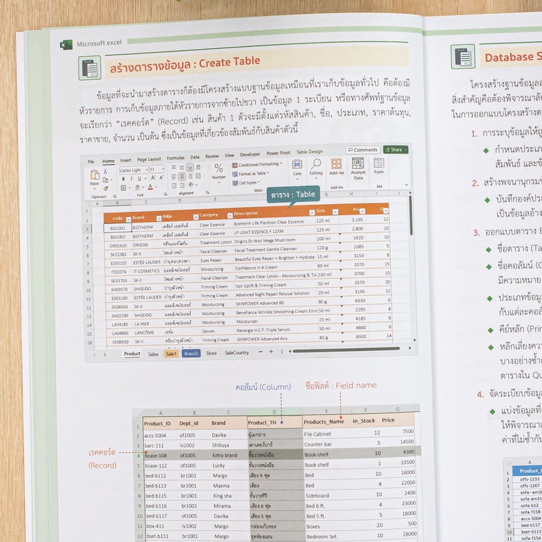 คู่มือ Data Analysis และ Data Visualization ด้วย Excel 