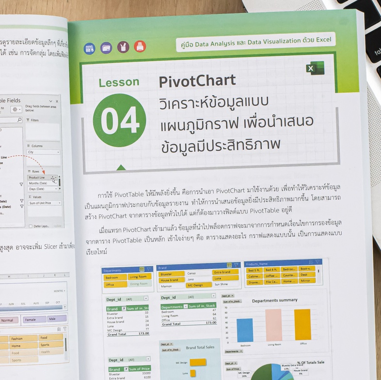 คู่มือ Data Analysis และ Data Visualization ด้วย Excel 