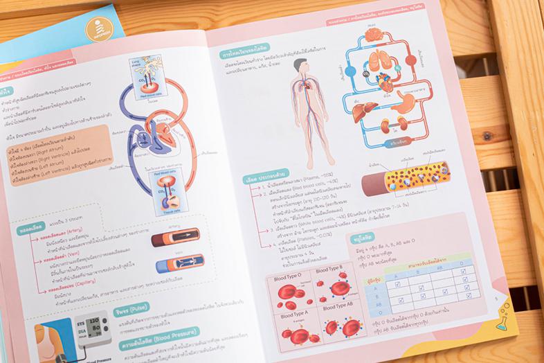 Easy Note Science ป.6 พิชิตสอบเข้า ม.1 มั่นใจเต็ม 100 ทบทวนเนื้อหา วิทยาศาสตร์ ระดับ ป.5-ป.6 อย่างรวดเร็วด้วยรูปภาพสวยงาม ร...