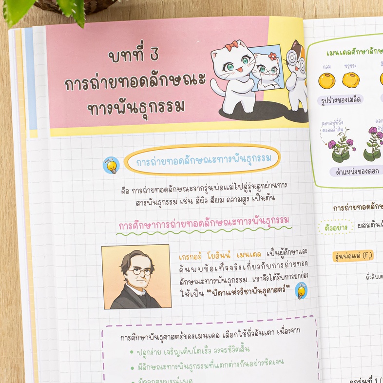 Magic Short Note วิทยาศาสตร์ ป.5 มั่นใจเต็ม 100 ร่ายเวทมนตร์ความสนุกให้วิทยาศาสตร์อ่านง่าย เข้าใจไว เตรียมพร้อมรับมือทุกสนา...