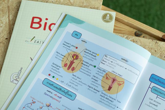 Biology Easy Note มั่นใจเต็ม 100 สรุปเนื้อหาชีววิทยา ม.ปลาย ที่เน้นใช้ภาพในการอธิบาย ทำให้เข้าใจกระบวนการและโครงสร้างทางชีว...