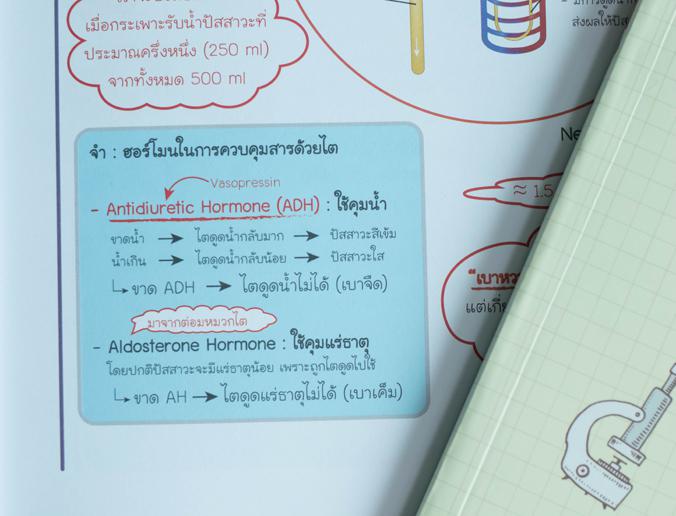 Biology Easy Note มั่นใจเต็ม 100 สรุปเนื้อหาชีววิทยา ม.ปลาย ที่เน้นใช้ภาพในการอธิบาย ทำให้เข้าใจกระบวนการและโครงสร้างทางชีว...