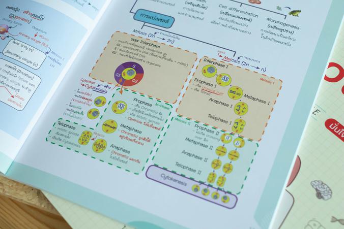 Biology Easy Note มั่นใจเต็ม 100 สรุปเนื้อหาชีววิทยา ม.ปลาย ที่เน้นใช้ภาพในการอธิบาย ทำให้เข้าใจกระบวนการและโครงสร้างทางชีว...