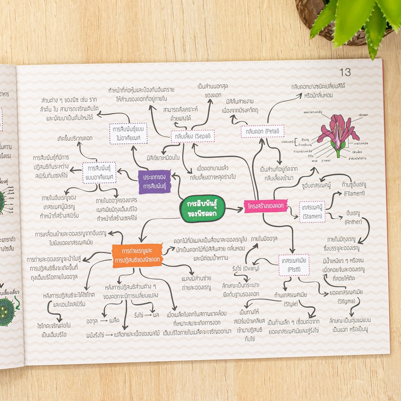 KEY MAP วิทยาศาสตร์ ม.ต้น แผนที่ความคิด พิชิตข้อสอบมั่นใจ 100% มโนภาพ key word สำคัญที่จะทำให้นักเรียนสามารถเข้าใจในวิชาวิท...