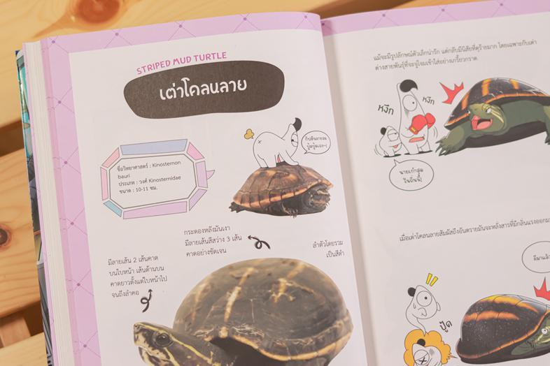 Dragon Village Turtle บับเบิลยอดนักสืบ Vol.2 ปริศนาการขโมยสมบัติของเจ้าพ่อแรมกอนกำลังจะถูกเปิดเผย ความจริงมันคืออะไรกันแน่ ...