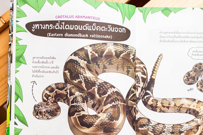 Dragon Village Snake ศึกเทพอสรพิษ เล่ม 2 ตอนจบของศึกระหว่างเหล่าเทพ และราชาอสรพิษ ใครจะครองความเป็นอมตะ พิษร้ายจะแก้ได้หรือ...