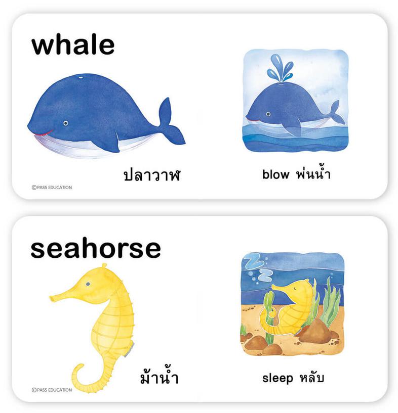 ชุด Fun Words บอร์ดบุ๊ค ชุดFun Words หนังสือภาพ 2 ภาษา เรียนรู้ศัพท์ ไทย -อังกฤษ  หนังสือเด็กพัฒนา ทักษะทางภาษา หนังสือสำหร...