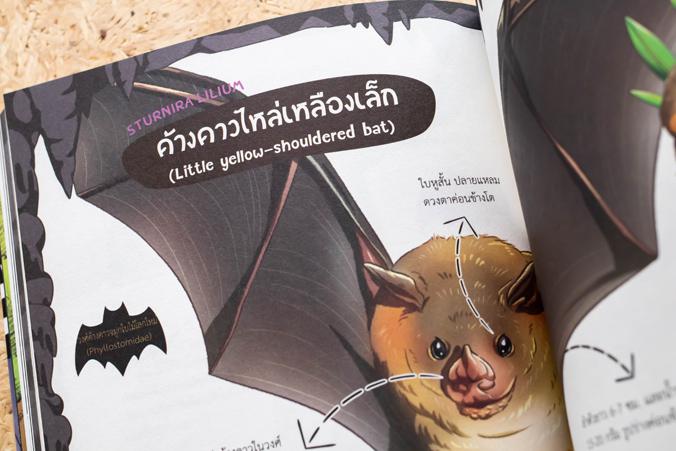 Dragon Village Bat Racing ซิ่งสายฟ้า เล่ม 2 การ์ตูนความรู้วิทยาศาสตร์ เรียนรู้เรื่องสัตว์โลกหลากหลายสายพันธุ์




เมื่...