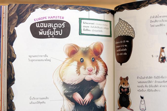 Dragon Village Fantastic Mouse มหัศจรรย์กองทัพหนูเวทมนตร์ เล่ม 1 การ์ตูนความรู้วิทยาศาสตร์ เรียนรู้เรื่องสัตว์โลกหลากหลายสา...