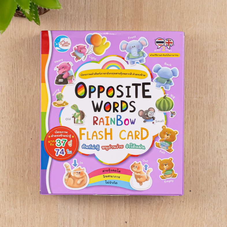 OPPOSITE WORDS RAINBOW FLASH CARD 