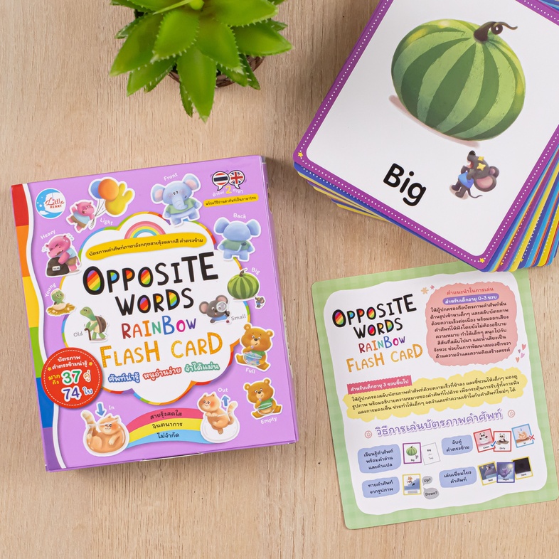 OPPOSITE WORDS RAINBOW FLASH CARD 