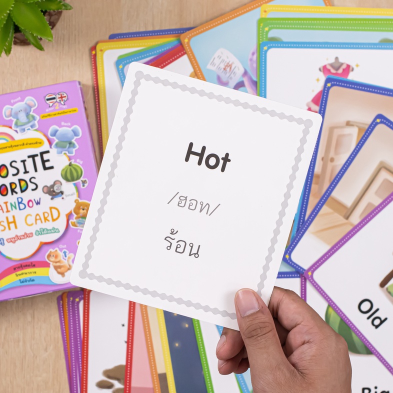 OPPOSITE WORDS RAINBOW FLASH CARD 