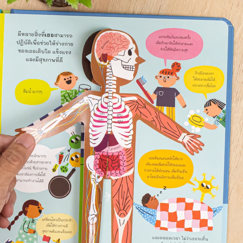 บอร์ดบุ๊ค เปิดโลกวิทยาศาสตร์ ร่างกายของเรา เปิดเผยความลับทางวิทยาศาสตร์เกี่ยวกับการทำงานของอวัยวะต่างๆ ภายในร่างกายของเรา ต...