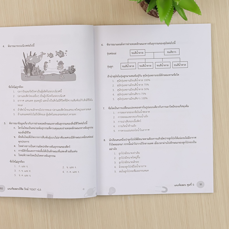 แนวข้อสอบพิชิต วิทย์ TEDET ป.5 เสริมสร้างทักษะกระบวนการคิดทางวิทยาศาสตร์ และคณิตศาสตร์ การคิดอย่างสร้างสรรค์ ด้วยการฝึกทำแน...