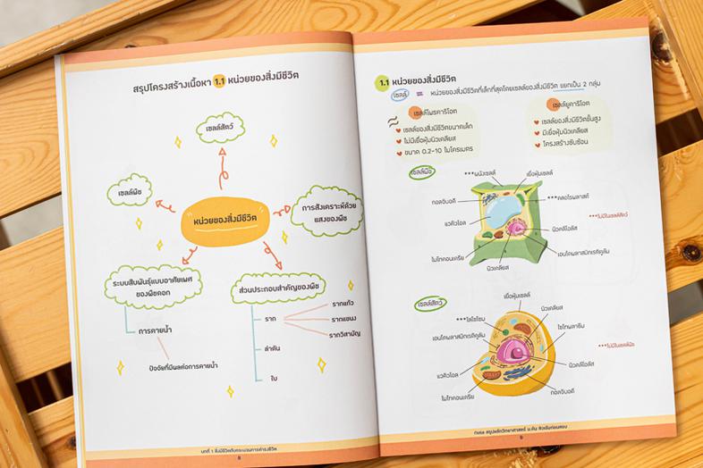 เซต TBX Korean Grammar 