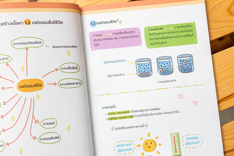 Note สรุปหลักวิทยาศาสตร์ ม.ต้น ติวเข้มก่อนสอบ 