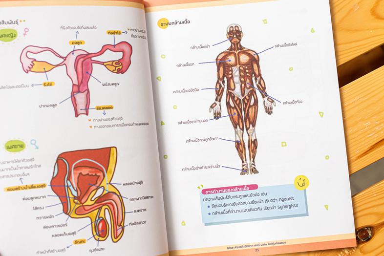 Note สรุปหลักวิทยาศาสตร์ ม.ต้น ติวเข้มก่อนสอบ 