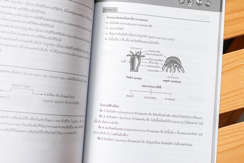 EXTRA MATH MWIT เตรียมความพร้อมนักเรียนในระดับชั้นมัธยมศึกษาตอนต้น โดยเฉพาะระดับมัธยมศึกษาปีที่ 3 เพื่อเตรียมตัวสอบเข้าในระ...