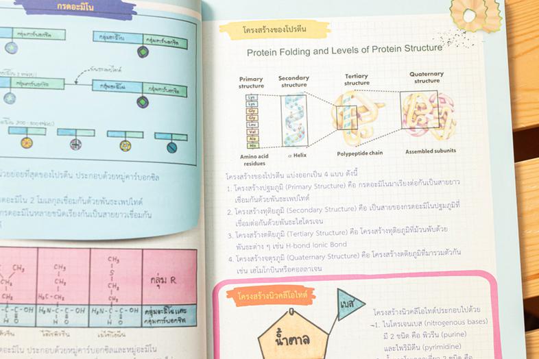 Drawing of Biology ภาพจำ ชีววิทยา พิชิตข้อสอบเต็ม 100% ชีววิทยา เป็นวิชาที่มีเนื้อหาที่ค่อนข้างละเอียดมากพอสมควร ทั้งยังเป็...