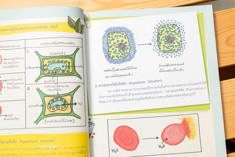 Drawing of Biology ภาพจำ ชีววิทยา พิชิตข้อสอบเต็ม 100% ชีววิทยา เป็นวิชาที่มีเนื้อหาที่ค่อนข้างละเอียดมากพอสมควร ทั้งยังเป็...