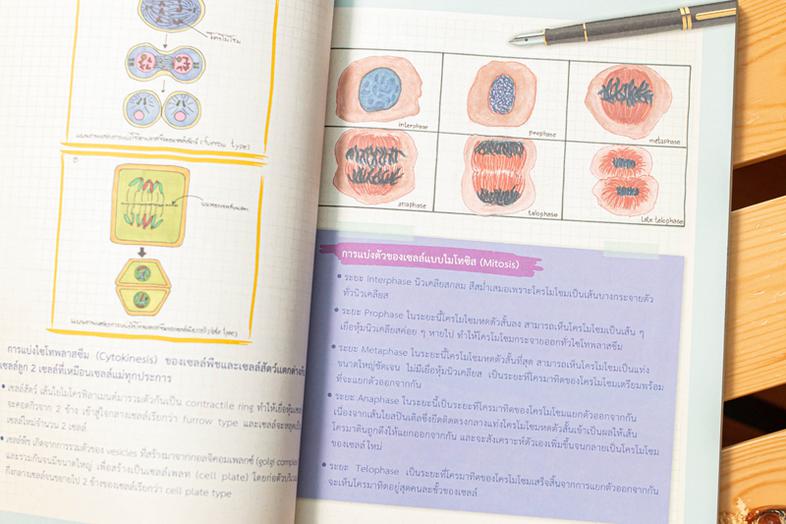 Drawing of Biology ภาพจำ ชีววิทยา พิชิตข้อสอบเต็ม 100% ชีววิทยา เป็นวิชาที่มีเนื้อหาที่ค่อนข้างละเอียดมากพอสมควร ทั้งยังเป็...