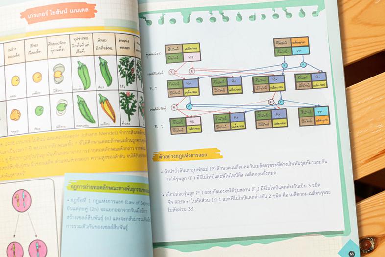 Drawing of Biology ภาพจำ ชีววิทยา พิชิตข้อสอบเต็ม 100% ชีววิทยา เป็นวิชาที่มีเนื้อหาที่ค่อนข้างละเอียดมากพอสมควร ทั้งยังเป็...