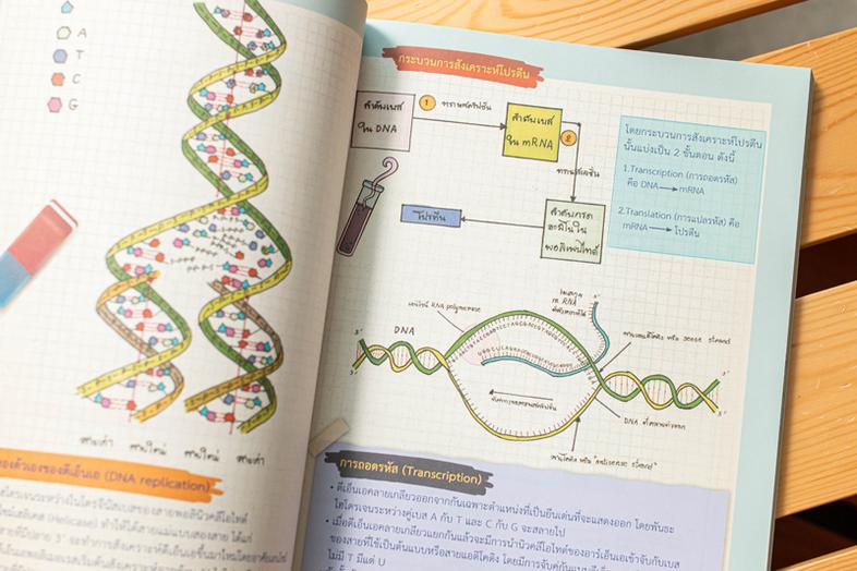 Drawing of Biology ภาพจำ ชีววิทยา พิชิตข้อสอบเต็ม 100% ชีววิทยา เป็นวิชาที่มีเนื้อหาที่ค่อนข้างละเอียดมากพอสมควร ทั้งยังเป็...