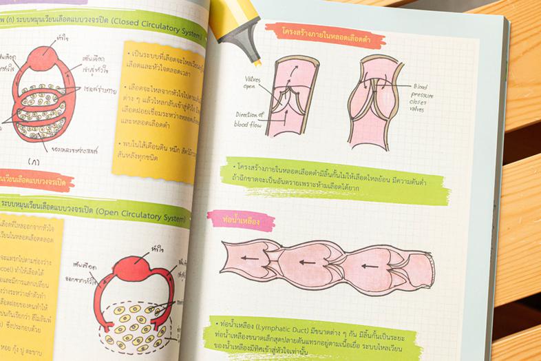 Drawing of Biology ภาพจำ ชีววิทยา พิชิตข้อสอบเต็ม 100% ชีววิทยา เป็นวิชาที่มีเนื้อหาที่ค่อนข้างละเอียดมากพอสมควร ทั้งยังเป็...