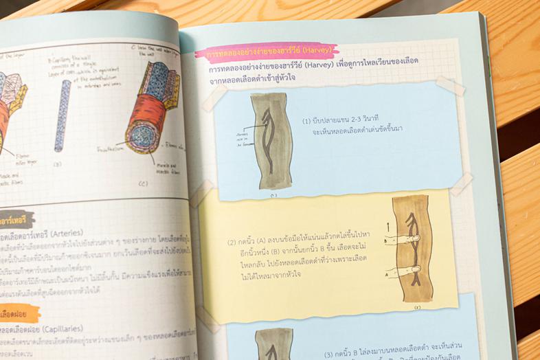 Drawing of Biology ภาพจำ ชีววิทยา พิชิตข้อสอบเต็ม 100% ชีววิทยา เป็นวิชาที่มีเนื้อหาที่ค่อนข้างละเอียดมากพอสมควร ทั้งยังเป็...