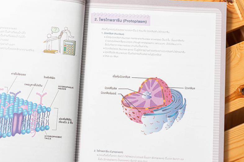 Note คณิตประถมปลาย สรุปเนื้อหาสำคัญพร้อมเก็งสอบเข้า ม.1 อ่านก่อนสอบแบบเร่งรัด 1 สัปดาห์ เมื่อต้องการเตรียมความพร้อมก่อนสอบเ...