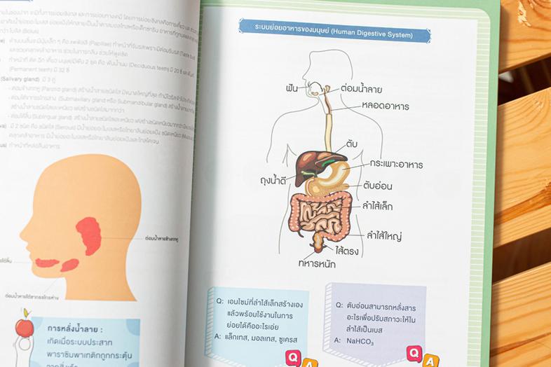 Note คณิตประถมปลาย สรุปเนื้อหาสำคัญพร้อมเก็งสอบเข้า ม.1 อ่านก่อนสอบแบบเร่งรัด 1 สัปดาห์ เมื่อต้องการเตรียมความพร้อมก่อนสอบเ...