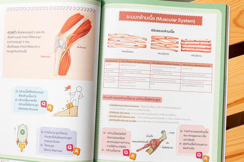 Note คณิตประถมปลาย สรุปเนื้อหาสำคัญพร้อมเก็งสอบเข้า ม.1 อ่านก่อนสอบแบบเร่งรัด 1 สัปดาห์ เมื่อต้องการเตรียมความพร้อมก่อนสอบเ...