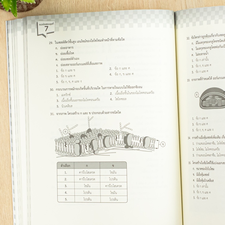 A-Level ชีววิทยา อัปเดตปีล่าสุด แนวข้อสอบชีววิทยา หลักสูตรล่าสุด เพื่อสอบเข้ามหาวิทยาลัยอ่านเข้าใจง่าย มีเฉลยละเอียดทุกข้อ