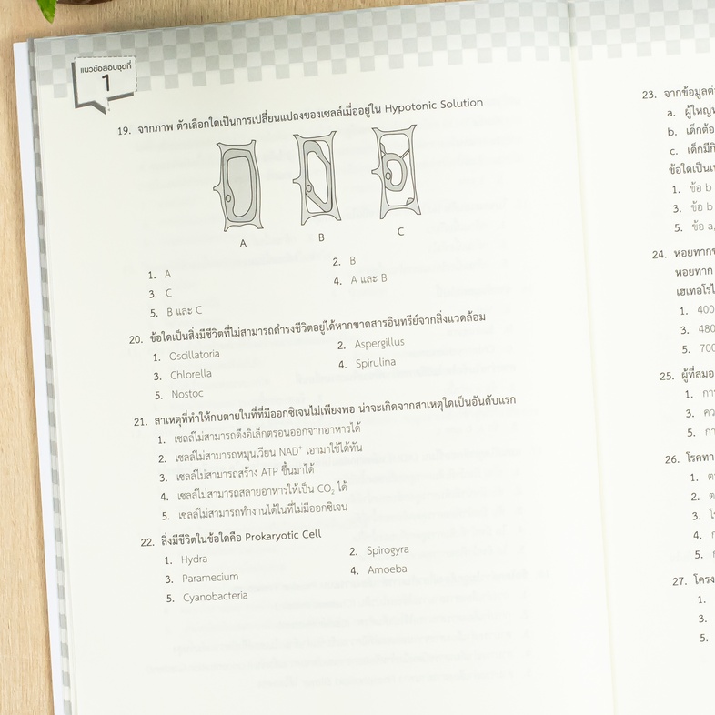 A-Level ชีววิทยา อัปเดตปีล่าสุด แนวข้อสอบชีววิทยา หลักสูตรล่าสุด เพื่อสอบเข้ามหาวิทยาลัยอ่านเข้าใจง่าย มีเฉลยละเอียดทุกข้อ