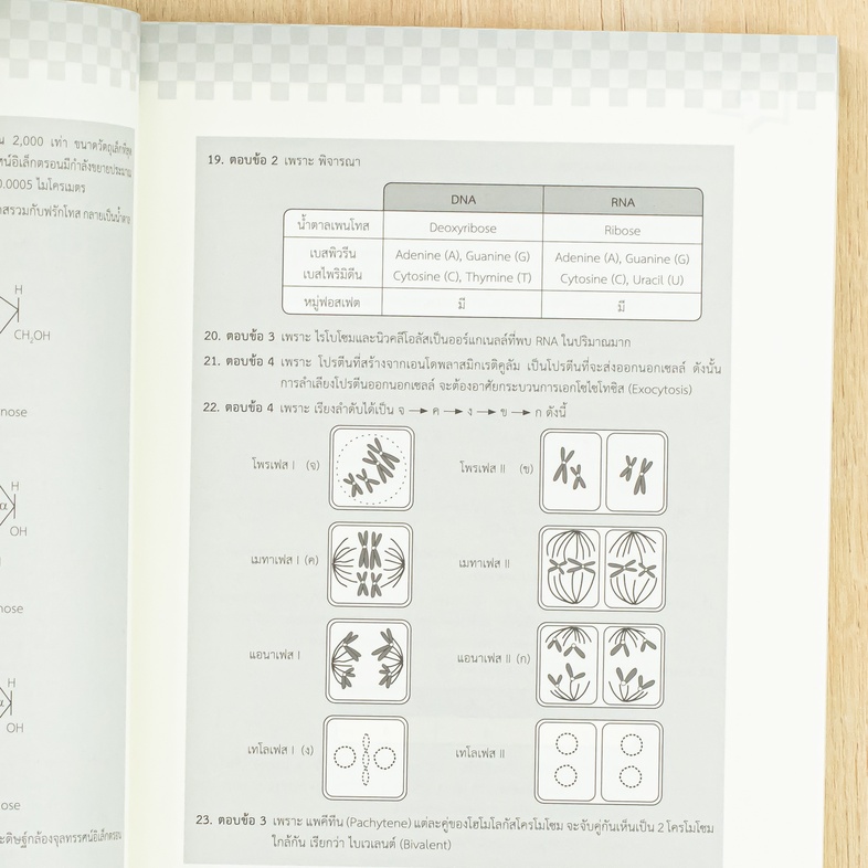 A-Level ชีววิทยา อัปเดตปีล่าสุด แนวข้อสอบชีววิทยา หลักสูตรล่าสุด เพื่อสอบเข้ามหาวิทยาลัยอ่านเข้าใจง่าย มีเฉลยละเอียดทุกข้อ