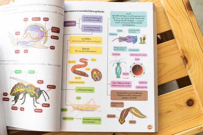 Complete Biology มัธยมปลาย สรุปเข้ม เน้นข้อสอบ ..Complete Biology มัธยมปลาย สรุปเข้ม เน้นข้อสอบ..ชีววิทยาเป็นศาสตร์ที่ครอบค...