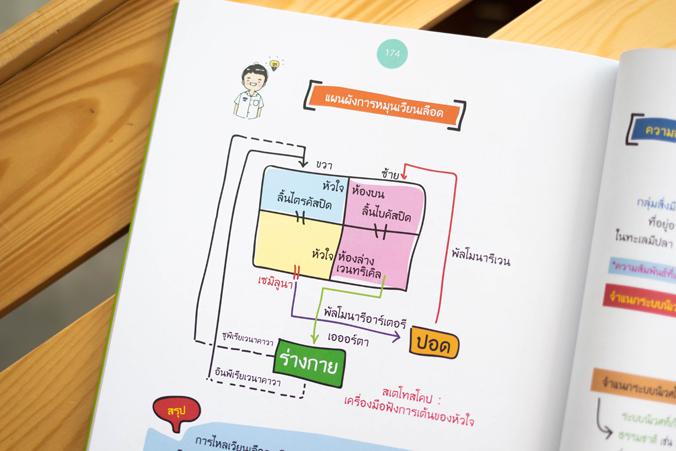 Short Note วิทยาศาสตร์ ป.1-ป.6 พิชิตข้อสอบเต็ม 100% ภายใน 3 วัน ...Short Note วิทยาศาสตร์ ป.1-ป.6 พิชิตข้อสอบเต็ม 100% ภายใ...