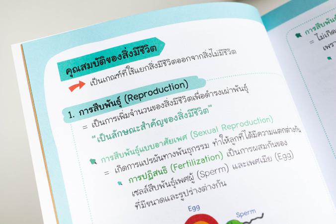 Easy Biology ชีวะ ม.ปลาย ง่ายนิดเดียว Easy Biology ชีวะ ม.ปลาย ง่ายนิดเดียวหนังสือ 