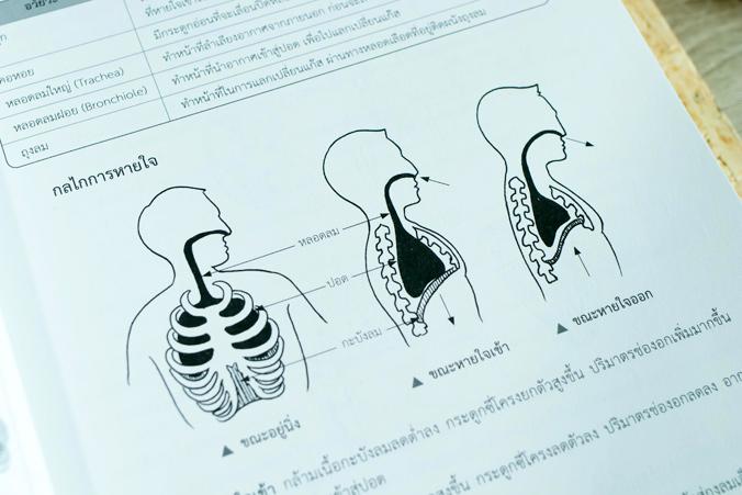 เซต TBX Korean Grammar 